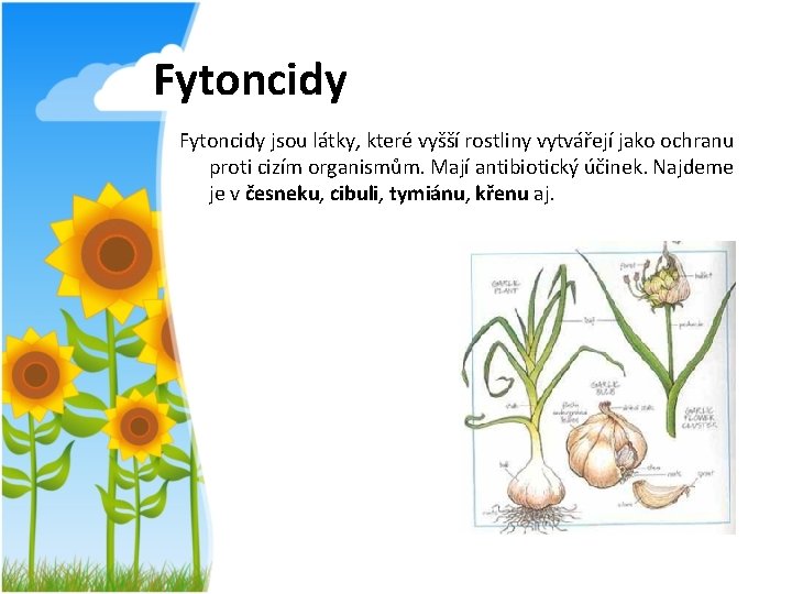 Fytoncidy jsou látky, které vyšší rostliny vytvářejí jako ochranu proti cizím organismům. Mají antibiotický