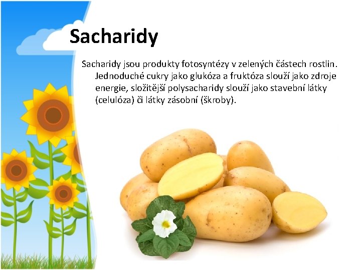 Sacharidy jsou produkty fotosyntézy v zelených částech rostlin. Jednoduché cukry jako glukóza a fruktóza