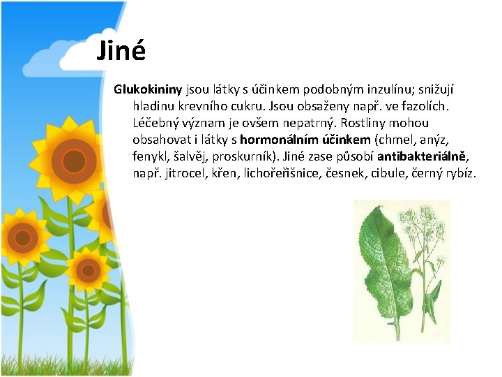 Jiné Glukokininy jsou látky s účinkem podobným inzulínu; snižují hladinu krevního cukru. Jsou obsaženy