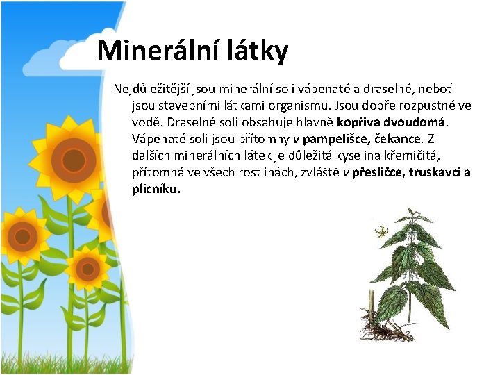 Minerální látky Nejdůležitější jsou minerální soli vápenaté a draselné, neboť jsou stavebními látkami organismu.