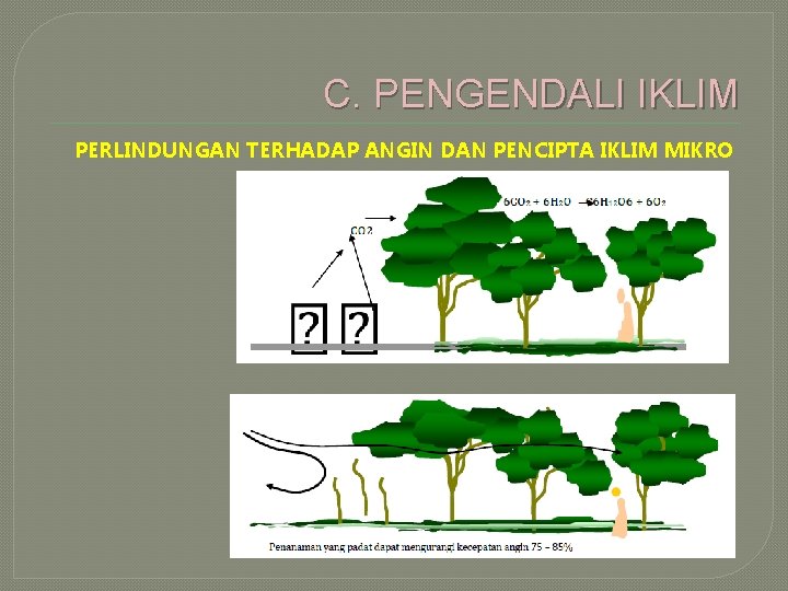 C. PENGENDALI IKLIM PERLINDUNGAN TERHADAP ANGIN DAN PENCIPTA IKLIM MIKRO 