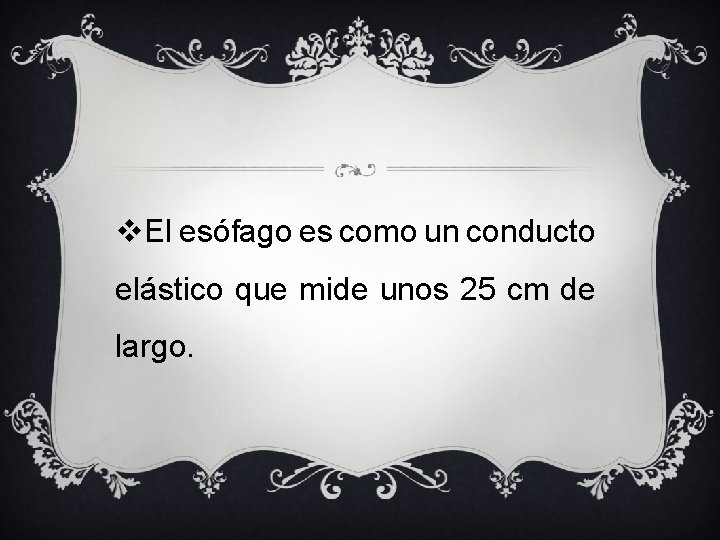 v. El esófago es como un conducto elástico que mide unos 25 cm de