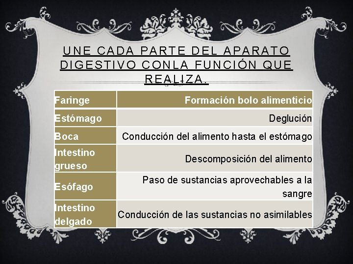 UNE CADA PARTE DEL APARATO DIGESTIVO CONLA FUNCIÓN QUE REALIZA. Faringe Estómago Boca Formación