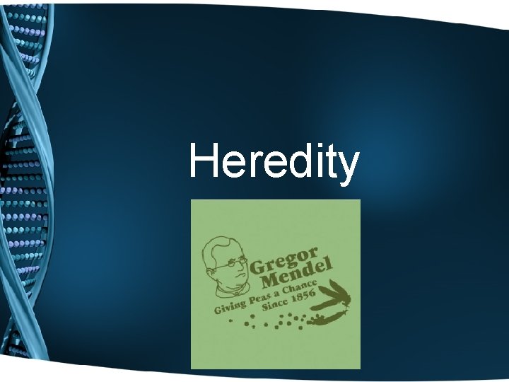 Heredity State Objective: 3 d 