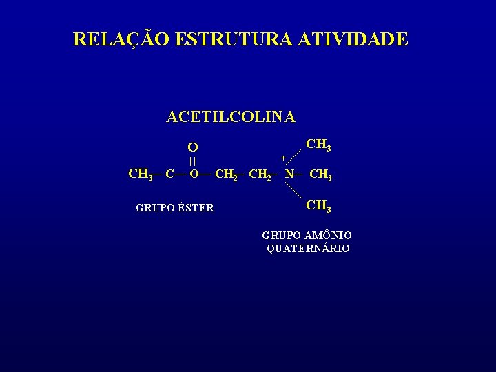 RELAÇÃO ESTRUTURA ATIVIDADE ACETILCOLINA O CH 3 C O GRUPO ÉSTER + CH 2