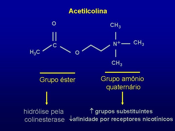 Acetilcolina H 3 C O CH 3 C N+ CH 3 O CH 3