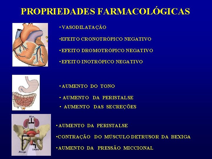 PROPRIEDADES FARMACOLÓGICAS • VASODILATAÇÃO • EFEITO CRONOTRÓPICO NEGATIVO • EFEITO DROMOTRÓPICO NEGATIVO • EFEITO