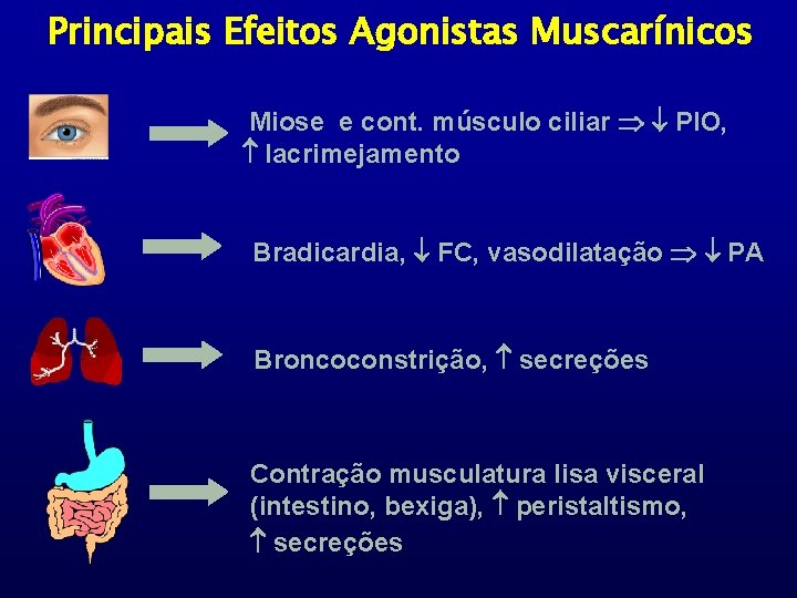 Principais Efeitos Agonistas Muscarínicos Miose e cont. músculo ciliar PIO, lacrimejamento Bradicardia, FC, vasodilatação
