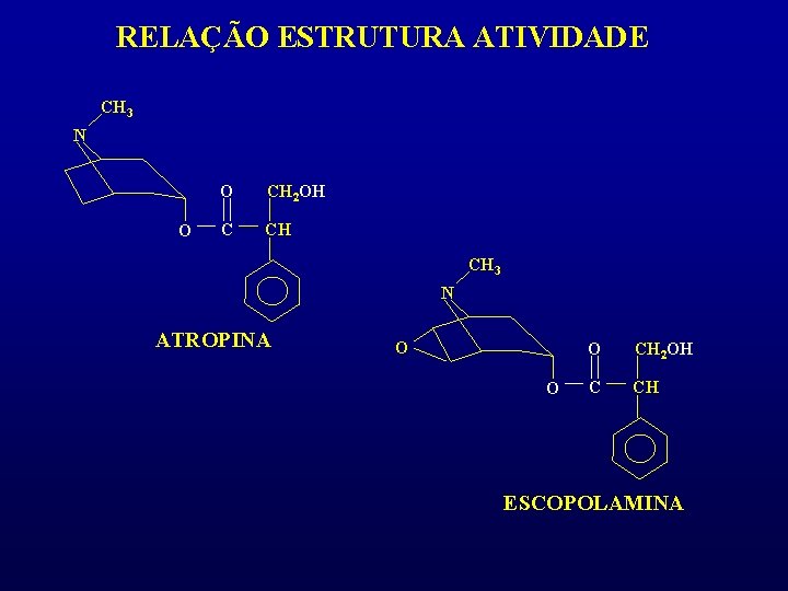RELAÇÃO ESTRUTURA ATIVIDADE CH 3 N O O CH 2 OH C CH CH