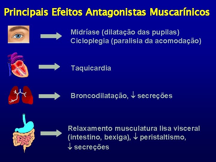 Principais Efeitos Antagonistas Muscarínicos Midríase (dilatação das pupilas) Cicloplegia (paralisia da acomodação) Taquicardia Broncodilatação,