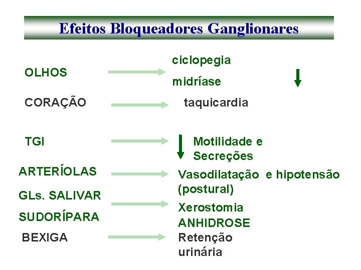 Efeitos Bloqueadores Ganglionares OLHOS CORAÇÃO TGI ARTERÍOLAS GLs. SALIVAR SUDORÍPARA BEXIGA ciclopegia midríase taquicardia