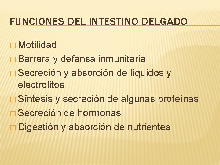 FUNCIONES DEL INTESTINO DELGADO � Motilidad � Barrera y defensa inmunitaria � Secreción y