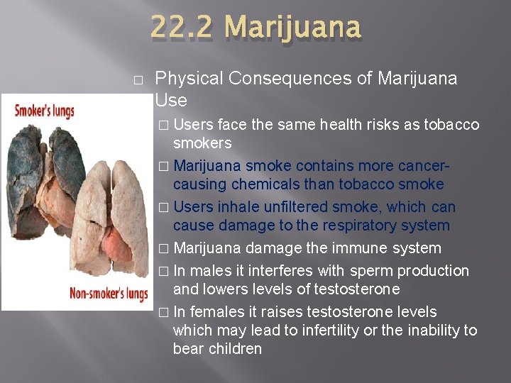 22. 2 Marijuana � Physical Consequences of Marijuana Use � Users face the same