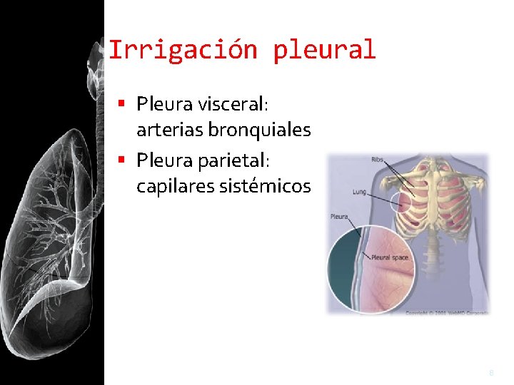 Irrigación pleural Pleura visceral: arterias bronquiales Pleura parietal: capilares sistémicos 8 