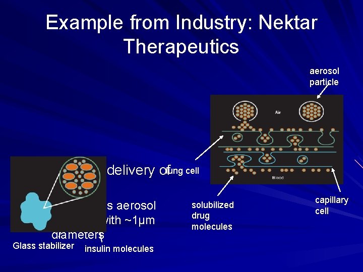 Example from Industry: Nektar Therapeutics aerosol particle Pulmonary delivery oflung cell Insulin – Amorphous