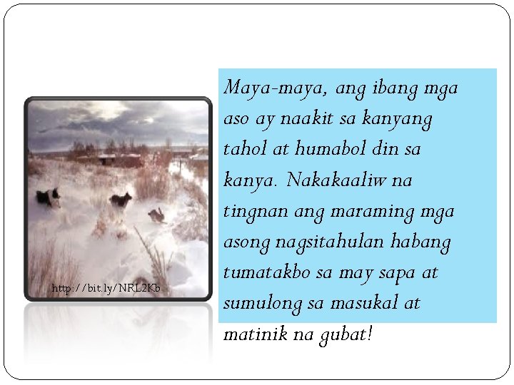 http: //bit. ly/NRL 2 Kb Maya-maya, ang ibang mga aso ay naakit sa kanyang