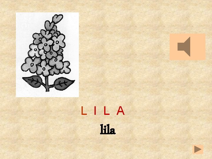 L I L A lila 