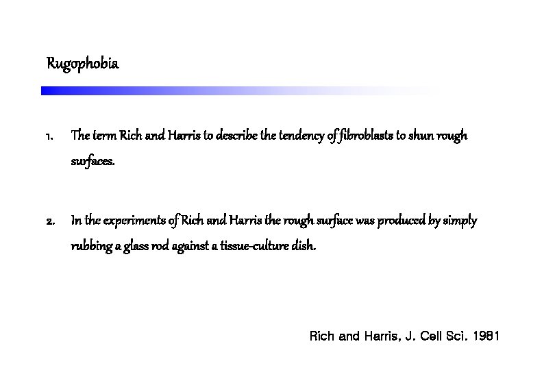 Rugophobia 1. The term Rich and Harris to describe the tendency of fibroblasts to