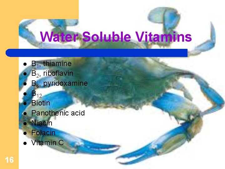Water Soluble Vitamins l l l l l 16 B 1, thiamine B 2,