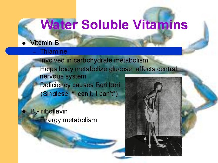 Water Soluble Vitamins l Vitamin B 1 – Thiamine – Involved in carbohydrate metabolism