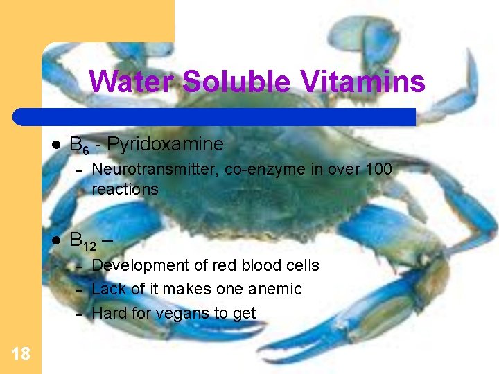 Water Soluble Vitamins l B 6 - Pyridoxamine – l B 12 – –