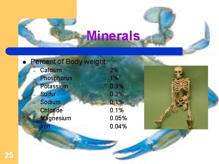 Minerals l Percent of Body weight – – – – 25 Calcium Phosphorus Potassium