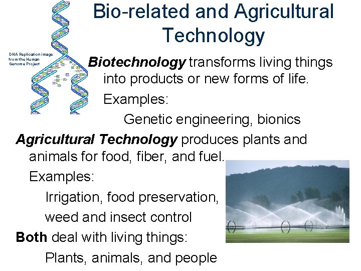 Bio-related and Agricultural Technology DNA Replication image from the Human Genome Project Biotechnology transforms