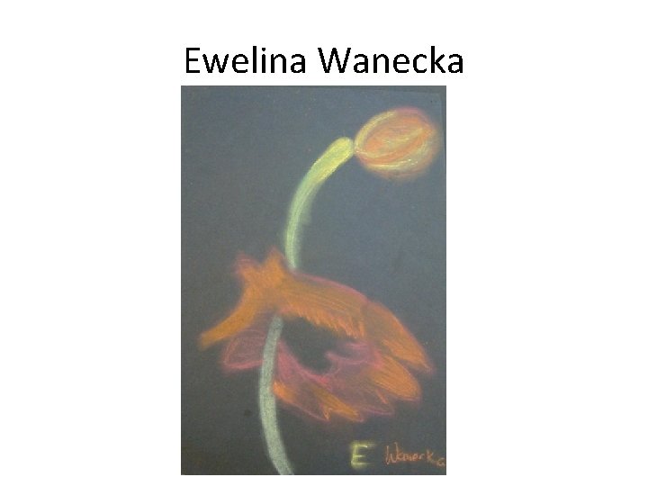 Ewelina Wanecka 