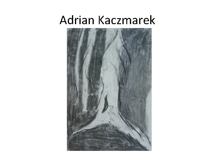 Adrian Kaczmarek 