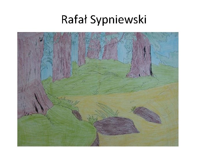 Rafał Sypniewski 