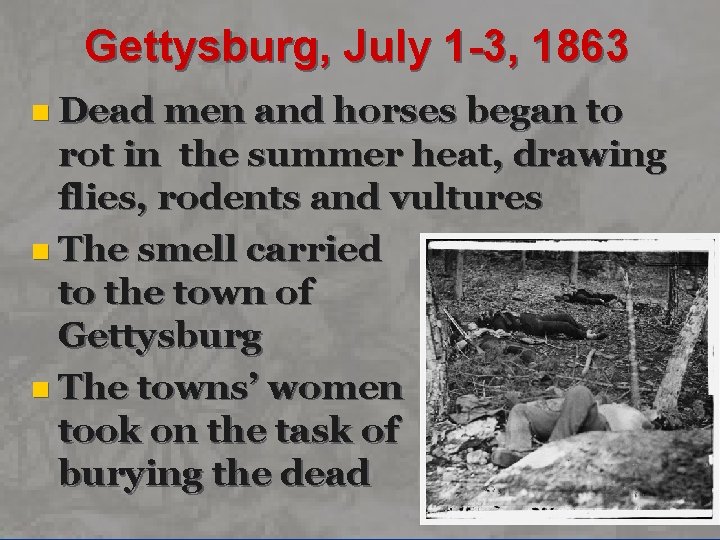 Gettysburg, July 1 -3, 1863 n Dead men and horses began to rot in