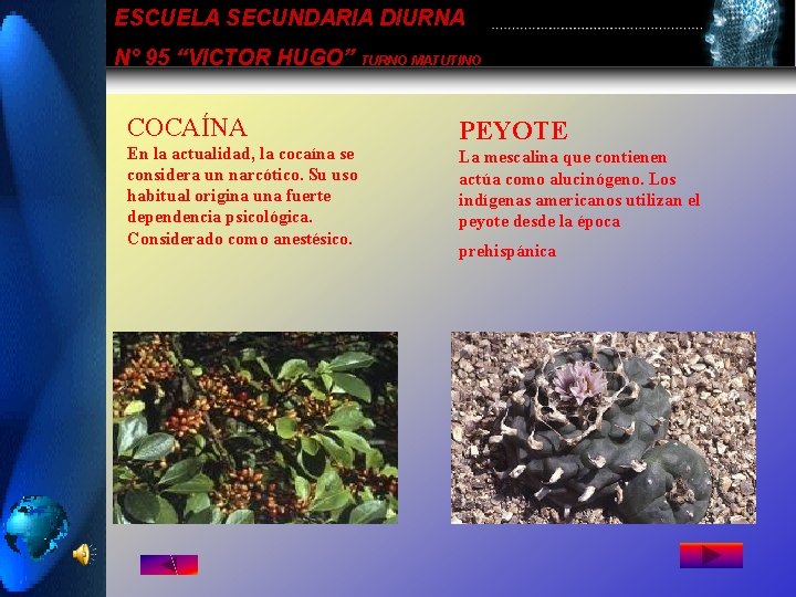 ESCUELA SECUNDARIA DIURNA N° 95 “VICTOR HUGO” TURNO MATUTINO COCAÍNA En la actualidad, la ESCUELA SECUNDARIA DIURNA N° 95 “VICTOR HUGO” TURNO MATUTINO COCAÍNA En la actualidad, la