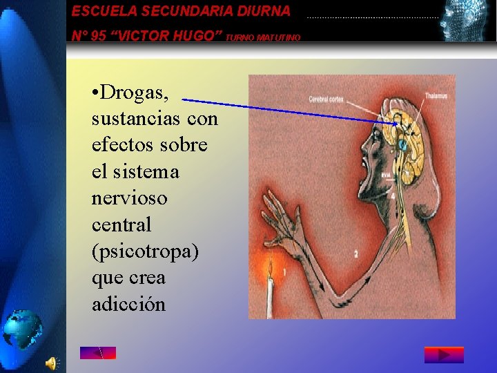 ESCUELA SECUNDARIA DIURNA N° 95 “VICTOR HUGO” TURNO MATUTINO • Drogas, sustancias con efectos ESCUELA SECUNDARIA DIURNA N° 95 “VICTOR HUGO” TURNO MATUTINO • Drogas, sustancias con efectos