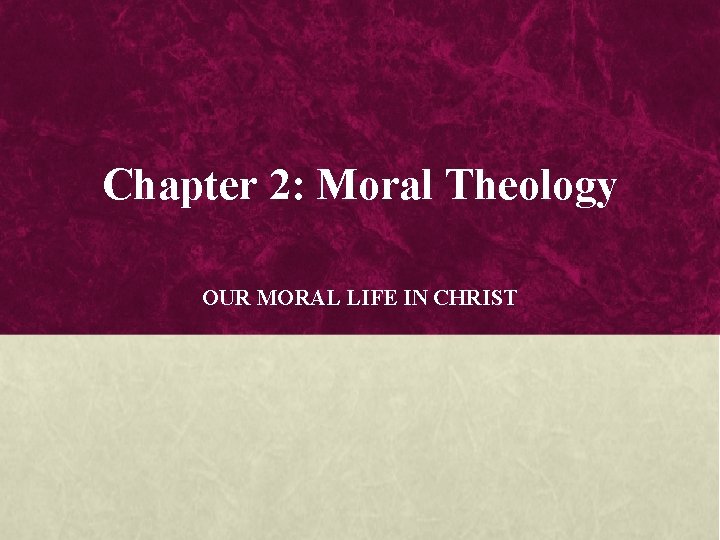 Chapter 2: Moral Theology OUR MORAL LIFE IN CHRIST 