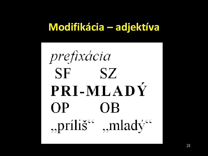 Modifikácia – adjektíva 28 