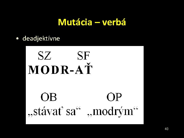 Mutácia – verbá • deadjektívne 40 