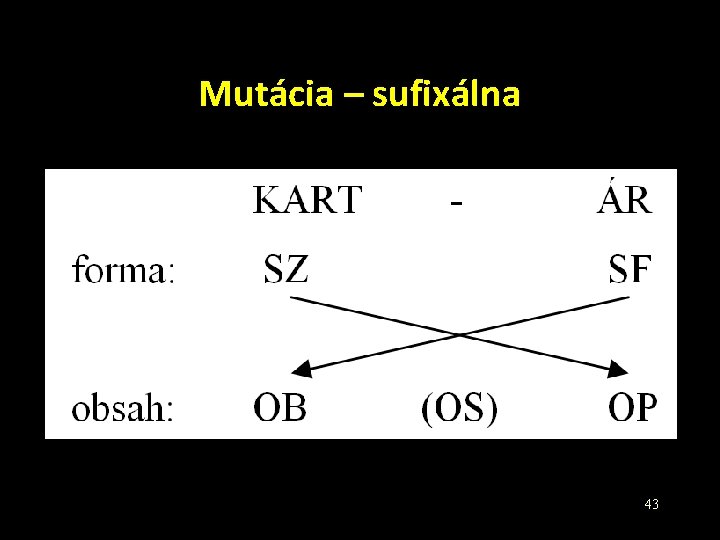 Mutácia – sufixálna 43 Mutácia – sufixálna 43