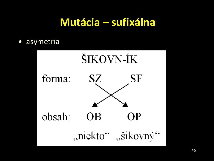 Mutácia – sufixálna • asymetria 46 