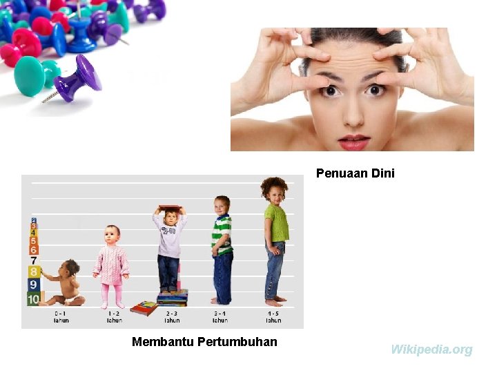 Penuaan Dini Membantu Pertumbuhan Wikipedia. org 