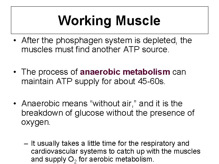 Working Muscle • After the phosphagen system is depleted, the muscles must find another