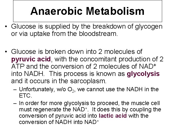 Anaerobic Metabolism • Glucose is supplied by the breakdown of glycogen or via uptake
