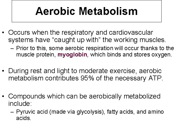 Aerobic Metabolism • Occurs when the respiratory and cardiovascular systems have “caught up with”
