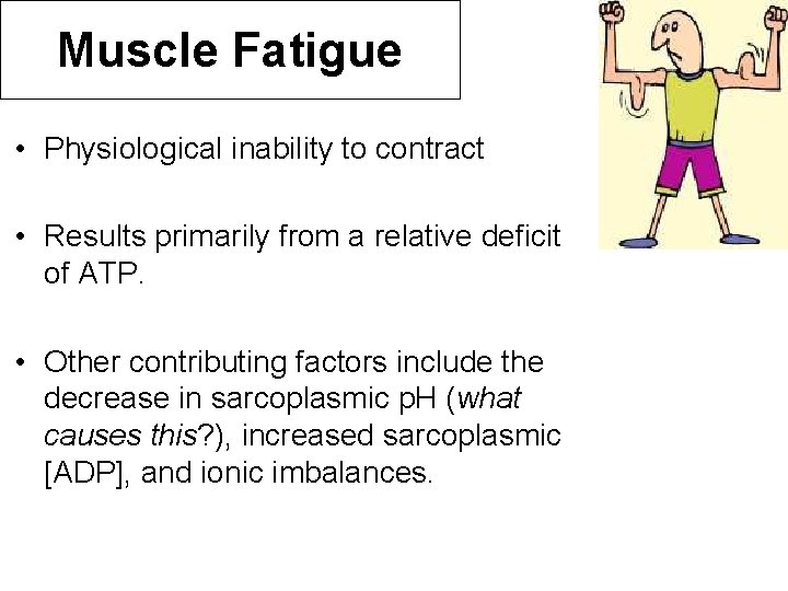 Muscle Fatigue • Physiological inability to contract • Results primarily from a relative deficit