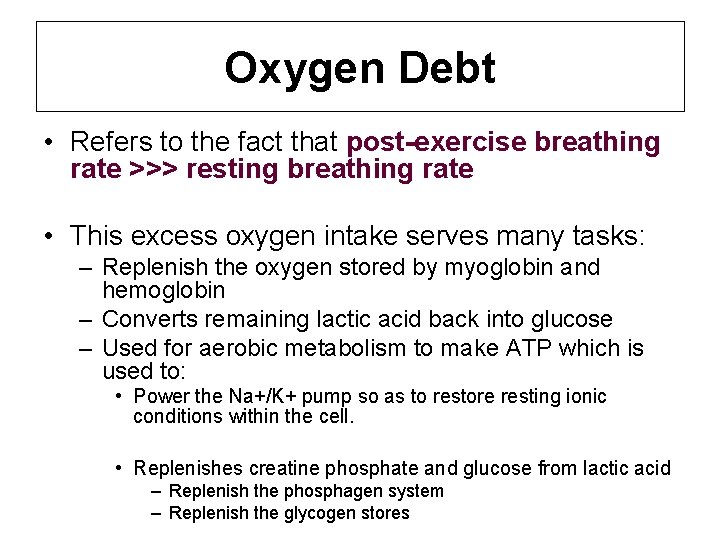 Oxygen Debt • Refers to the fact that post-exercise breathing rate >>> resting breathing