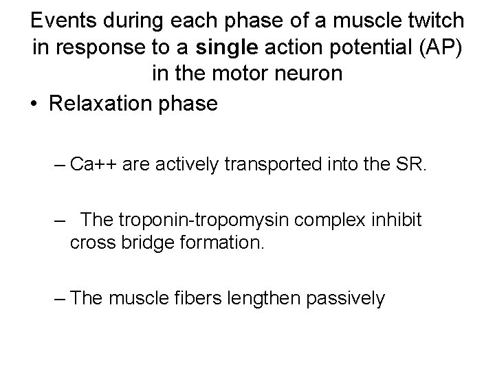 Events during each phase of a muscle twitch in response to a single action