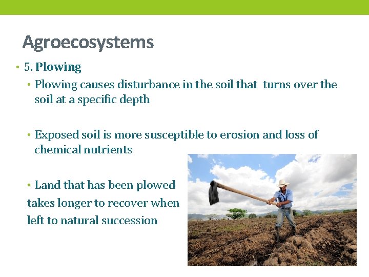 Agroecosystems • 5. Plowing • Plowing causes disturbance in the soil that turns over