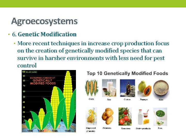 Agroecosystems • 6. Genetic Modification • More recent techniques in increase crop production focus