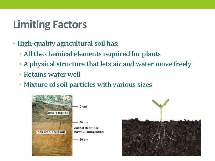 Limiting Factors • High-quality agricultural soil has: • All the chemical elements required for
