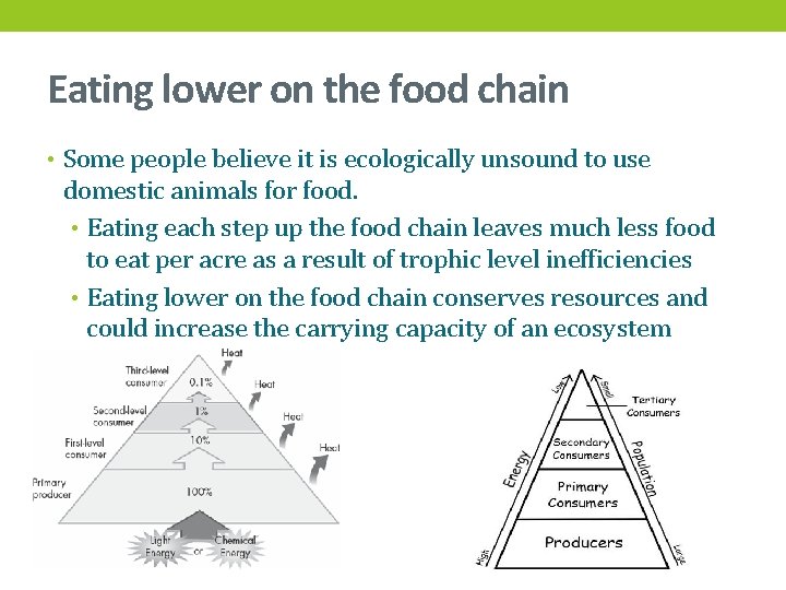 Eating lower on the food chain • Some people believe it is ecologically unsound