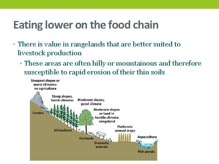 Eating lower on the food chain • There is value in rangelands that are